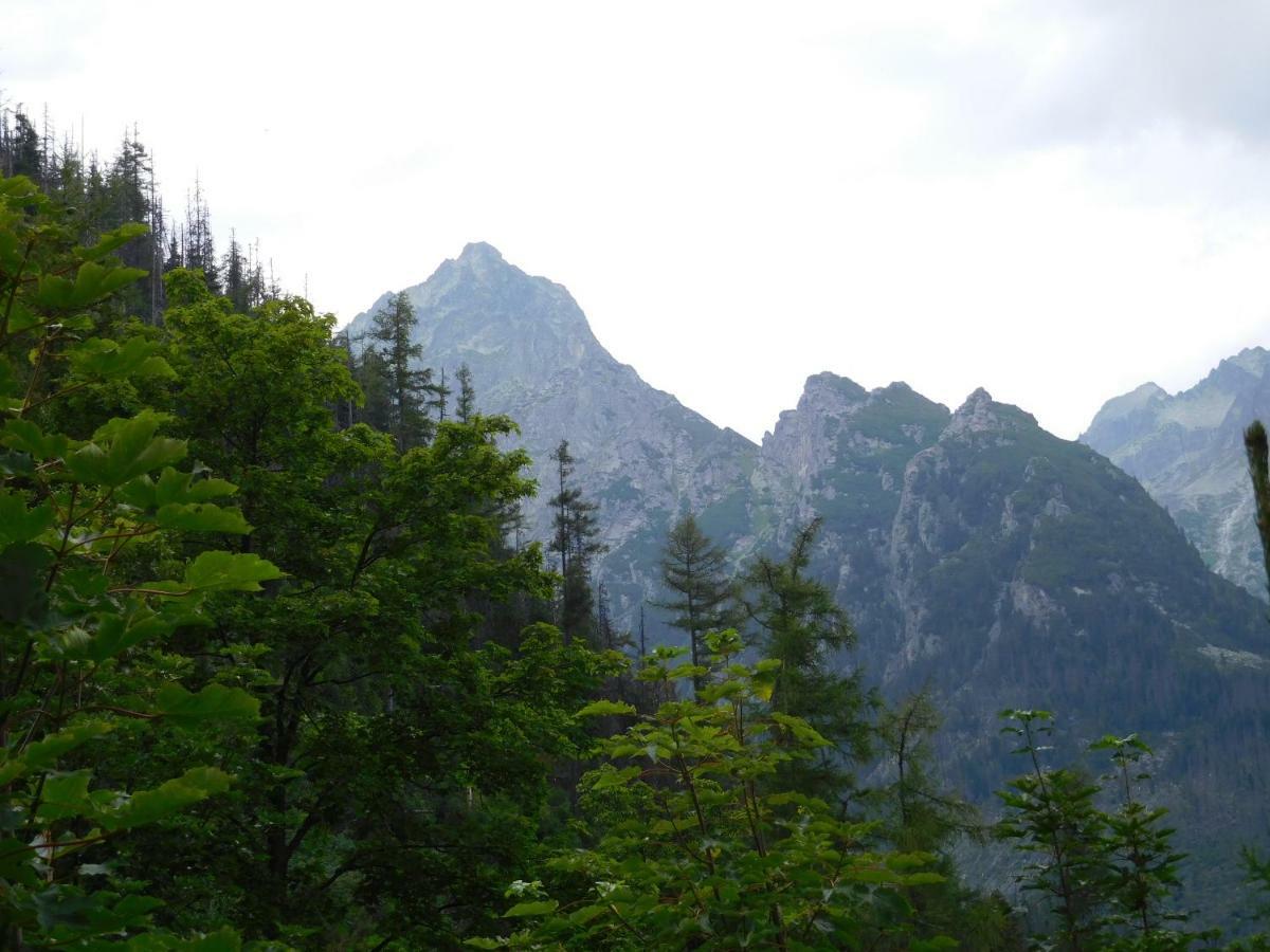 High Tatras - Patris 27 Appartement Tatranska Strba Buitenkant foto