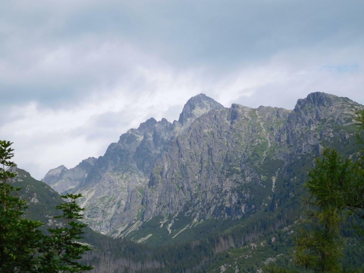 High Tatras - Patris 27 Appartement Tatranska Strba Buitenkant foto