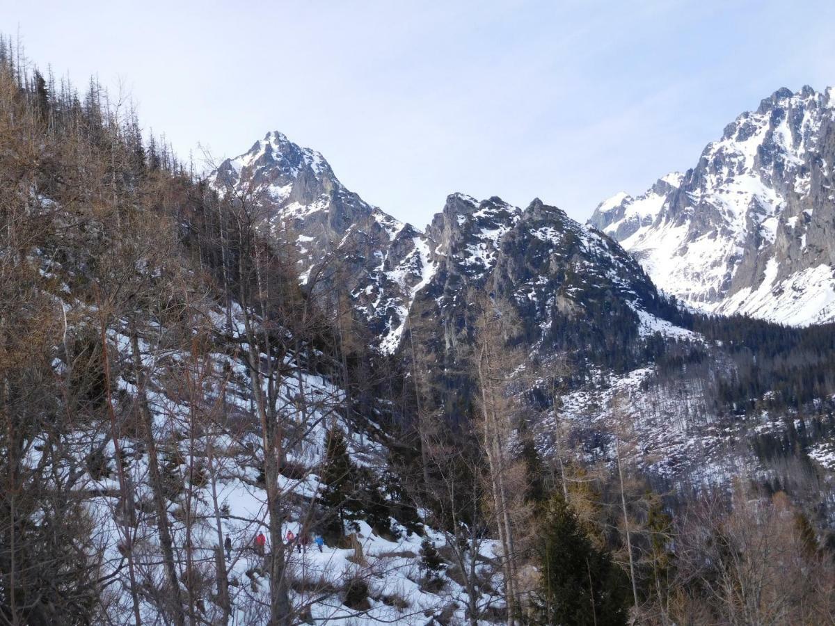 High Tatras - Patris 27 Appartement Tatranska Strba Buitenkant foto